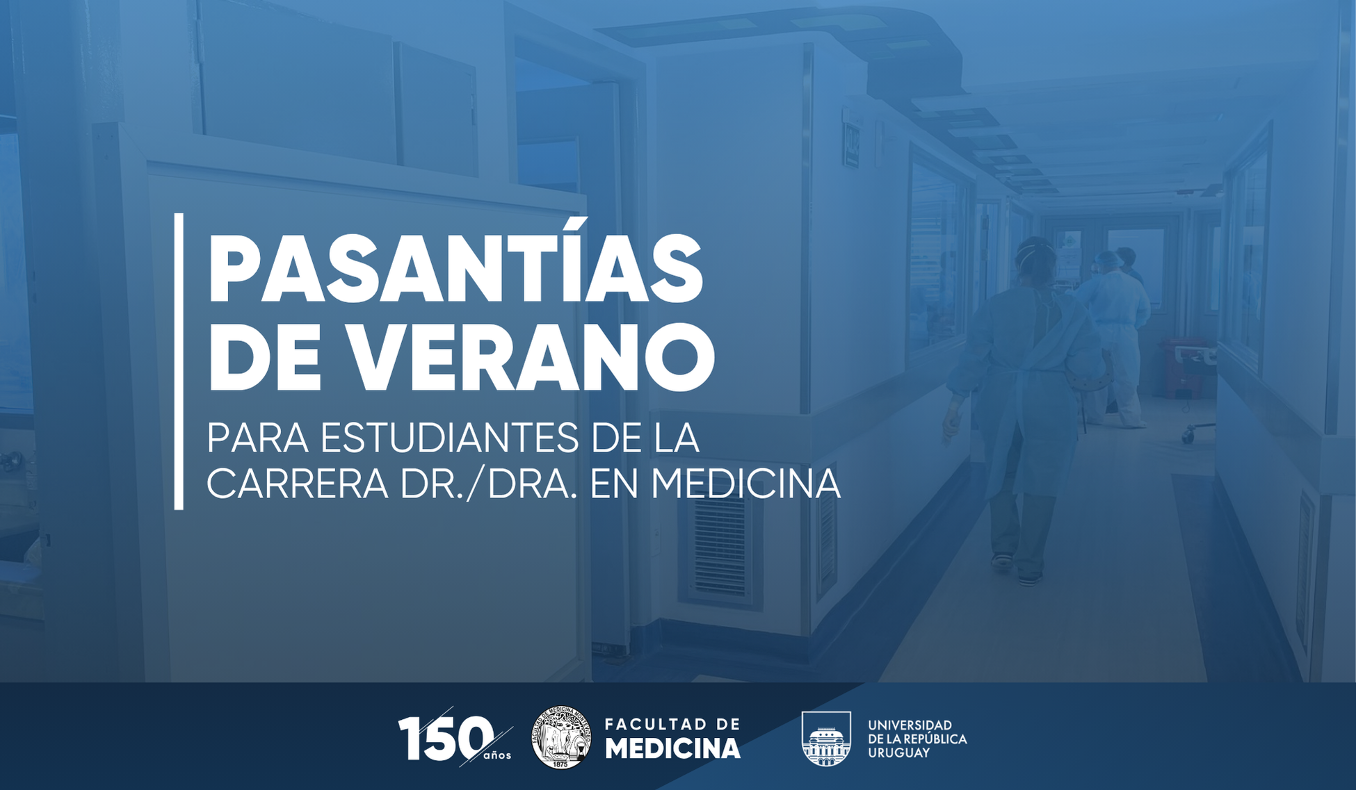 Inscripciones abiertas a las pasantías de verano 2025