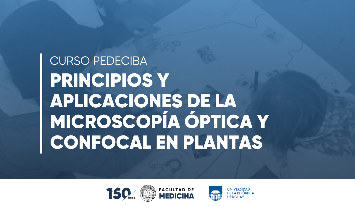 Curso PEDECIBA “Principios y aplicaciones de la microscopía óptica y confocal en plantas”