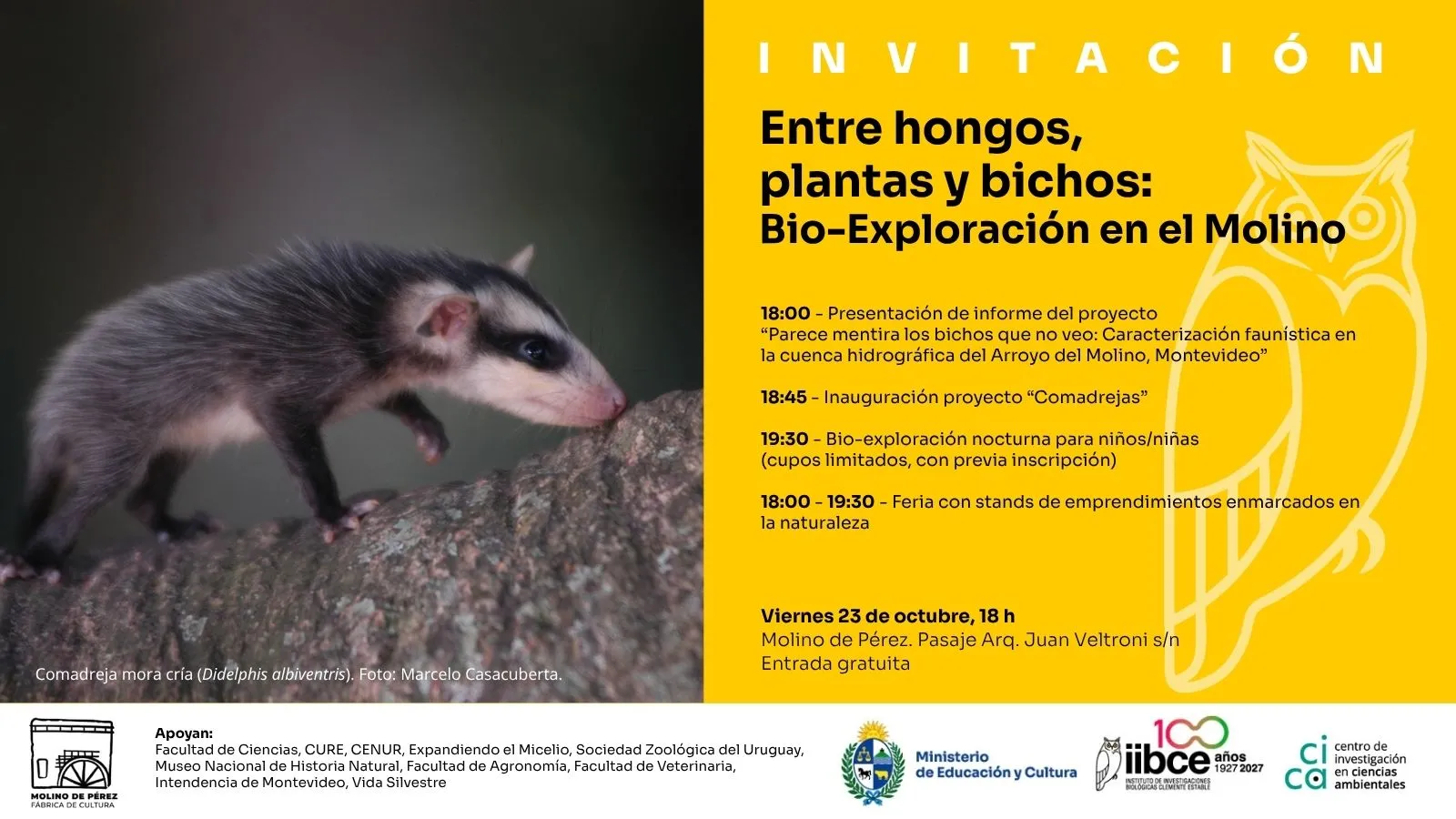 Entre hongos, plantas y bichos